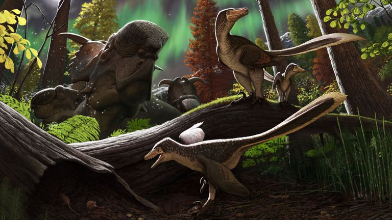 An artist&#39;s impression of dromaeosaurids dinosaurs that lived up to 145 million years ago
