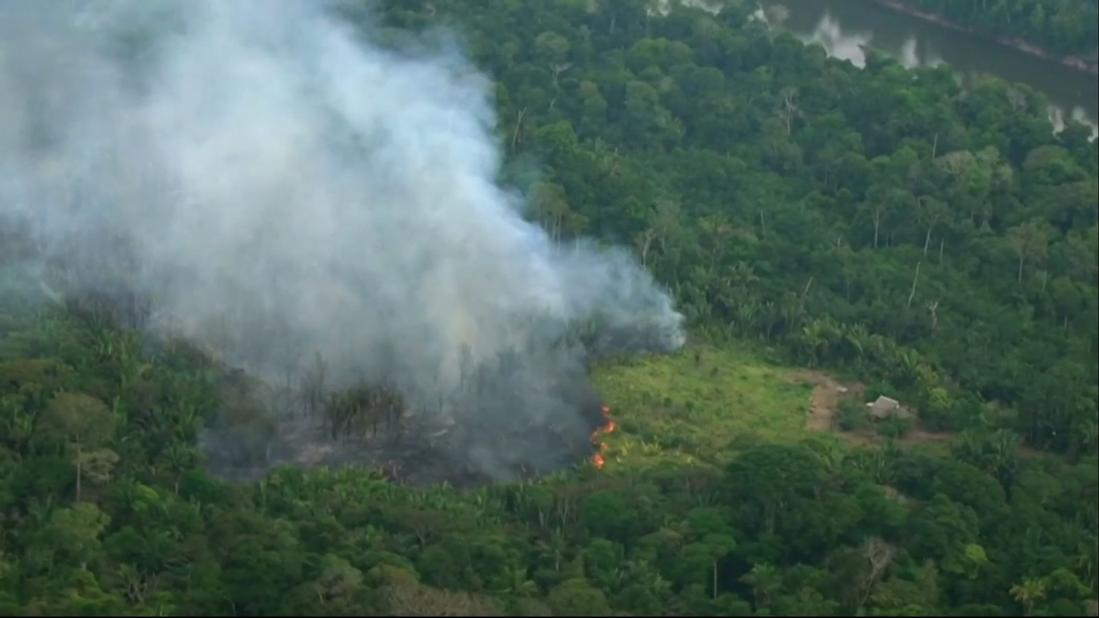 Amazon rainforest fires seen from above World News Sky News