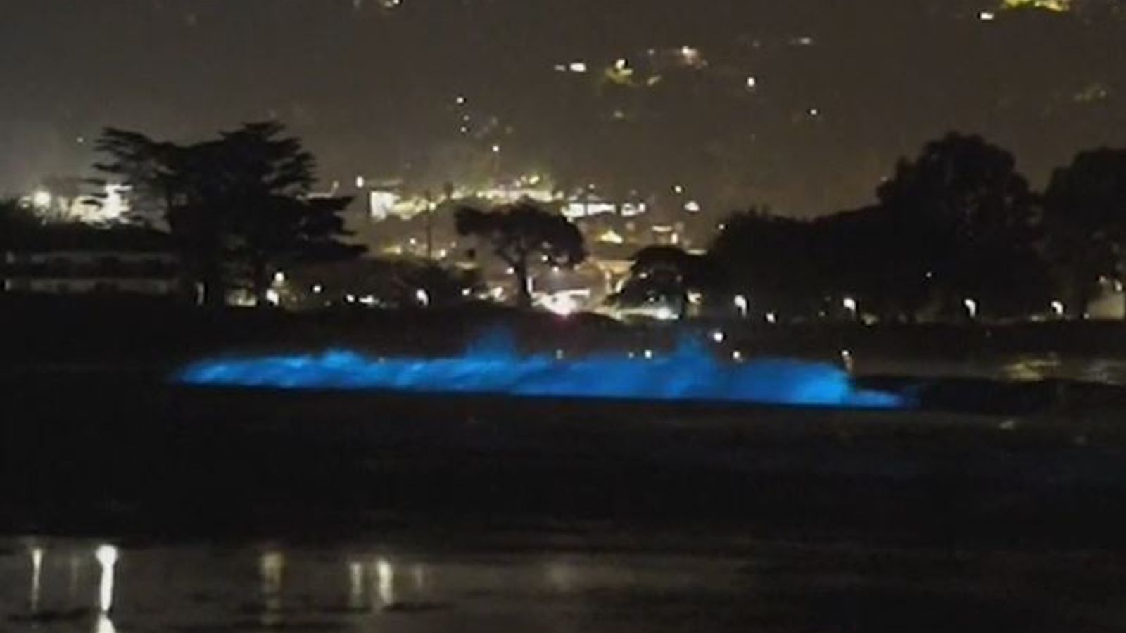 Bioluminescence turns California waves blue US News Sky News