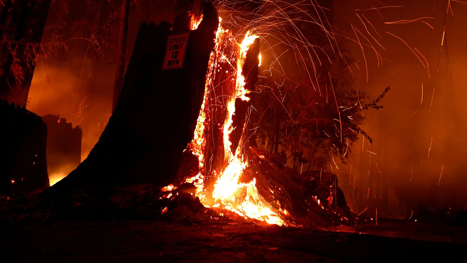 California Almost 12000 Lightning Strikes Spark Some Of Biggest Ever Wildfires In Us State 