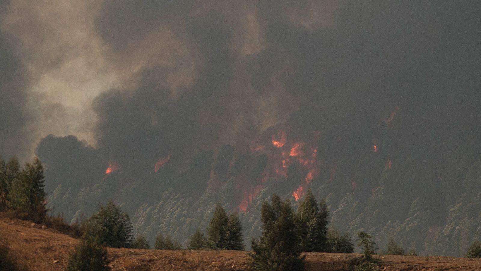 Wildfires ravage parts of Greece, Spain and Italy - forcing thousands ...