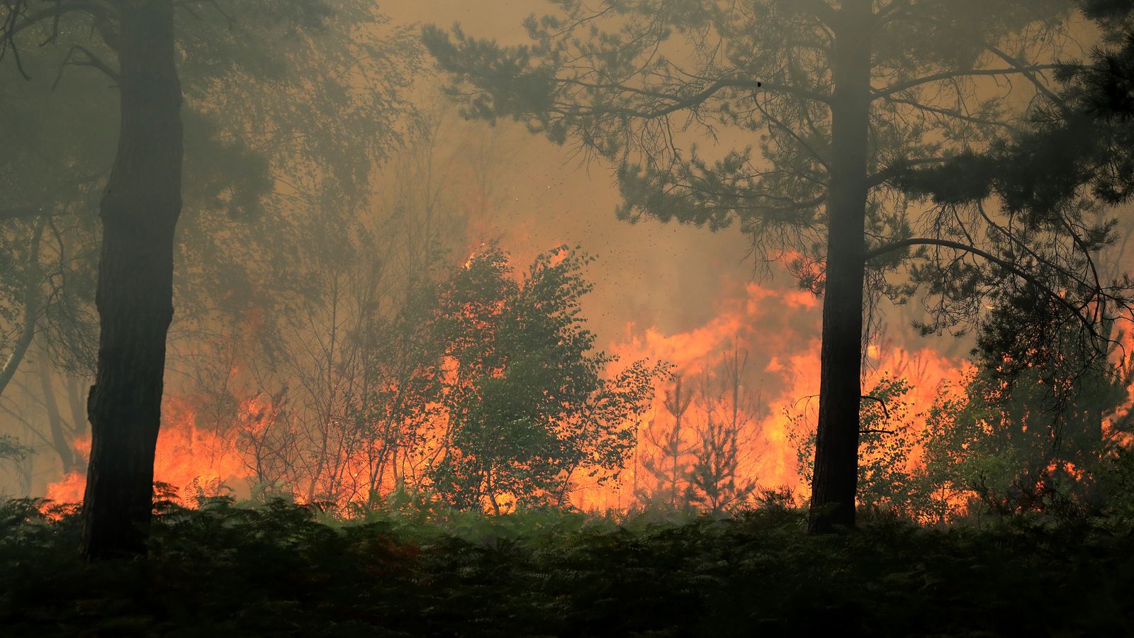 'Major Incident' Declared As Surrey Wildfire Forces 120 People To Leave ...