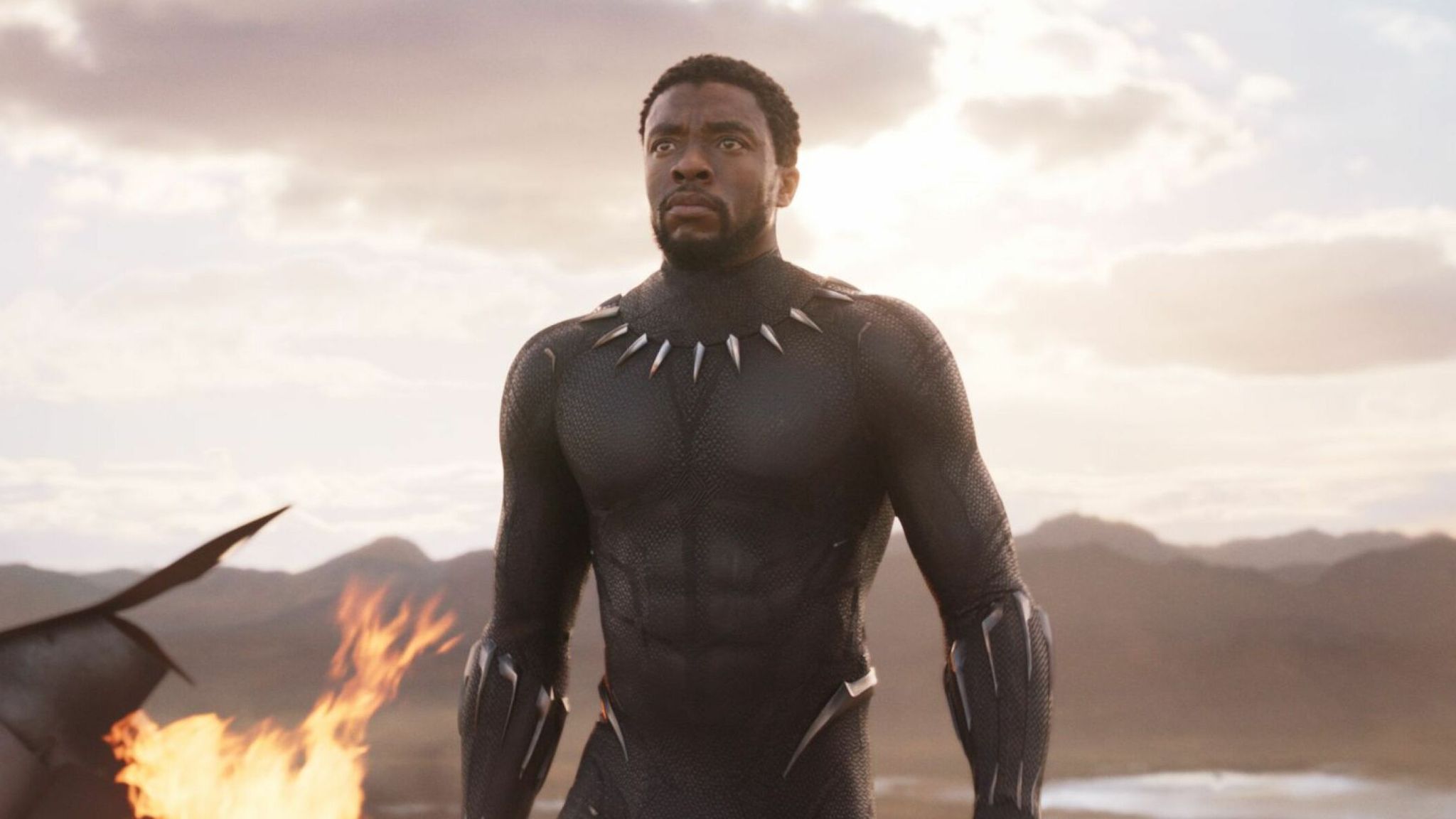 Chadwick Boseman: 'Shocked and heartbroken' stars pay tribute to Black  Panther actor | Ents & Arts News | Sky News