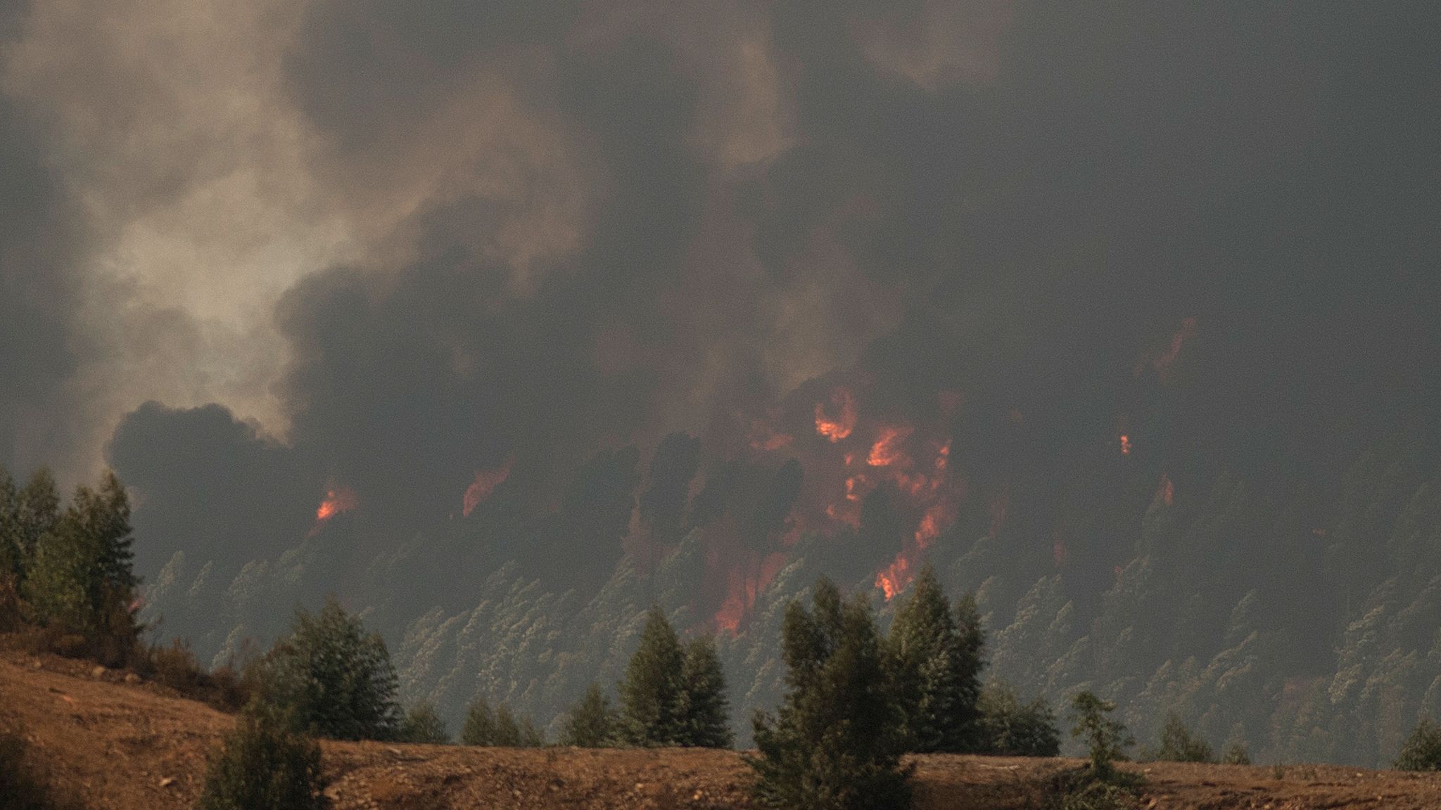 Wildfires Ravage Parts Of Greece, Spain And Italy - Forcing Thousands 