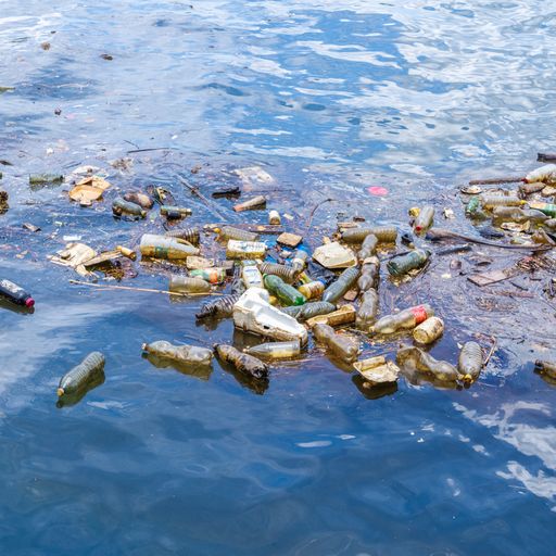 Amount of plastic in the Atlantic Ocean 'massively underestimated'