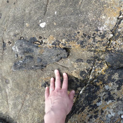 Jurassic-era dinosaur bone found by scientist while running on Scottish island