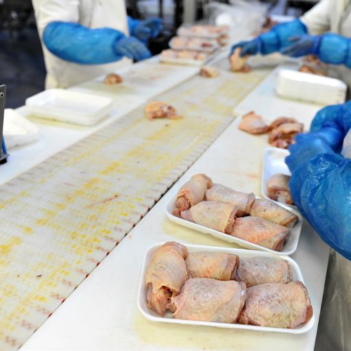 New data reveals jobs with highest rates of death from coronavirus