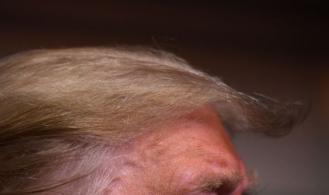 Trump wants to change government rules so his hair can stay 'perfect'
