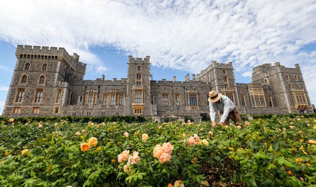 Windsor Castle opens terrace garden to public for first time since 1970s