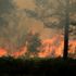 'Major incident' as Surrey wildfire forces 120 people to leave homes