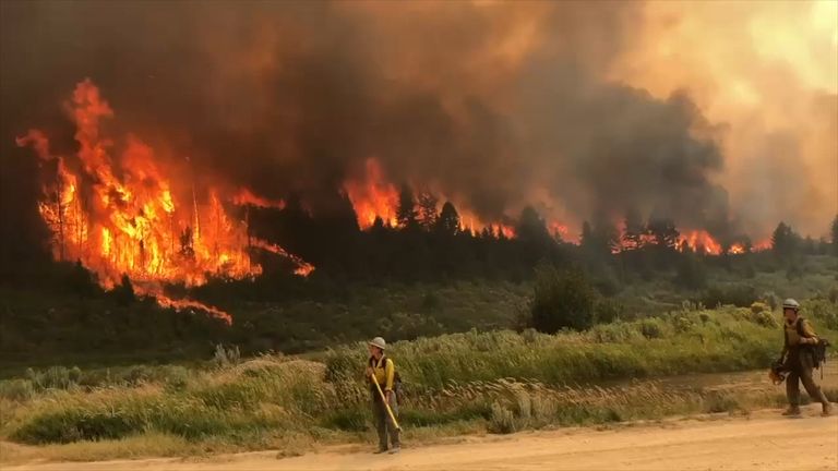 Colorado fires