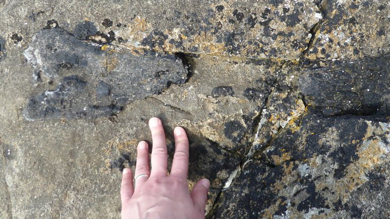 Eigg Bone in situ. Pic: E. Panciroli