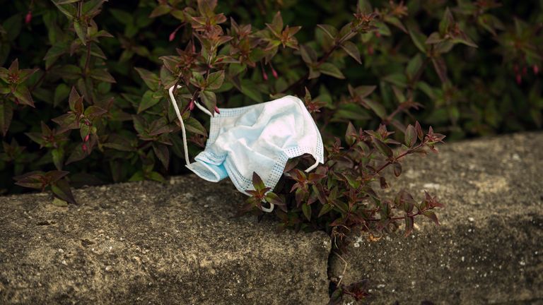 This face mask was discarded in a hedgerow in Whitley Bay