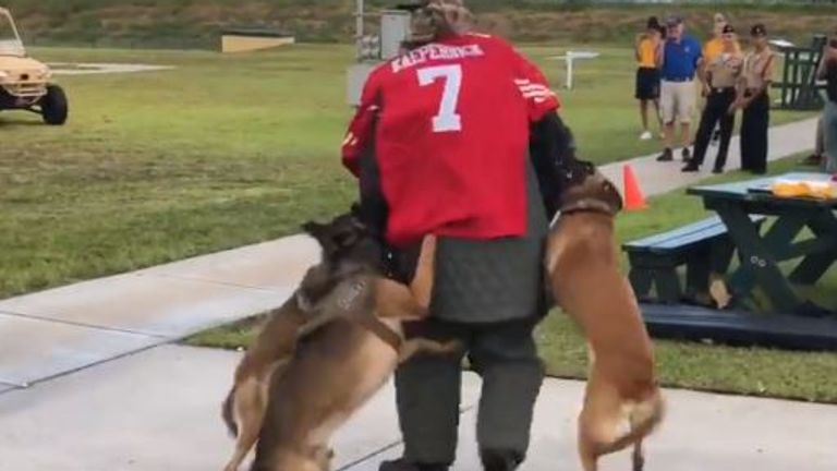 The video shows a demo involving four dogs. Pic: @BillyCorben