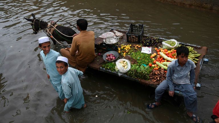 A vegetable vendor rides on his donkey cart through a flooded street in Karachi 