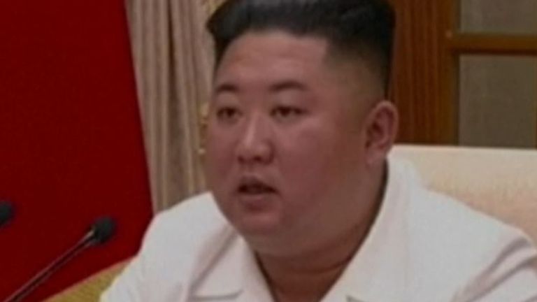Kim Jong Un meets with official in North Korea