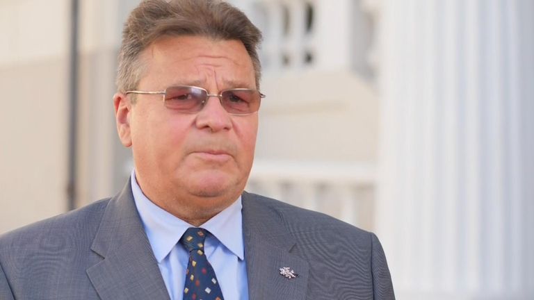 Lithuanian foreign minister Linas Linkevičius said he is worried about Russian military interference