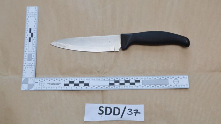 One of the knives detained by police was shown at Woolwich Crown Court