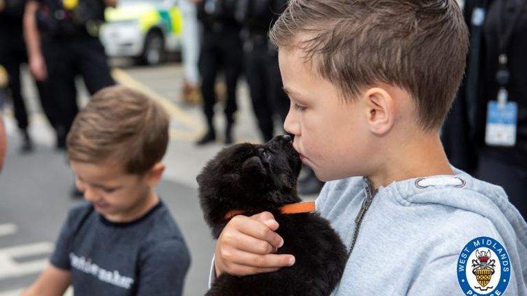 Oscar is seen kissing one of the police pups. Pic: West Midlands Police