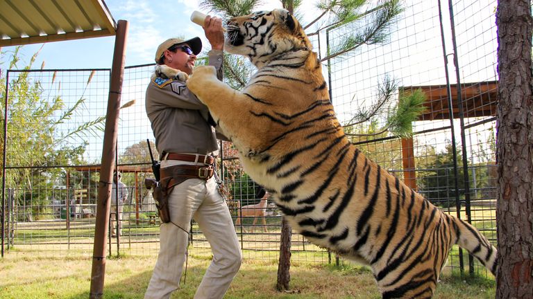 Baskin's Big Cat Rescue was granted control of Exotic's zoo in June. Pic: Netflix