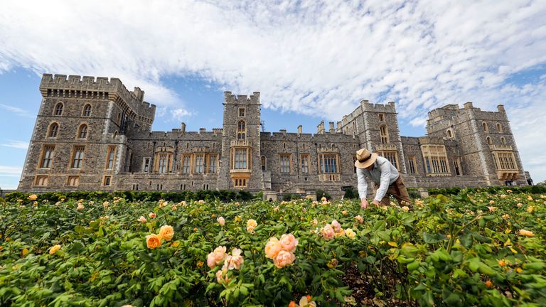 Windsor Castle&#39;s East Terrace Garden which will be open to the public for the first time in decades from Saturday.
