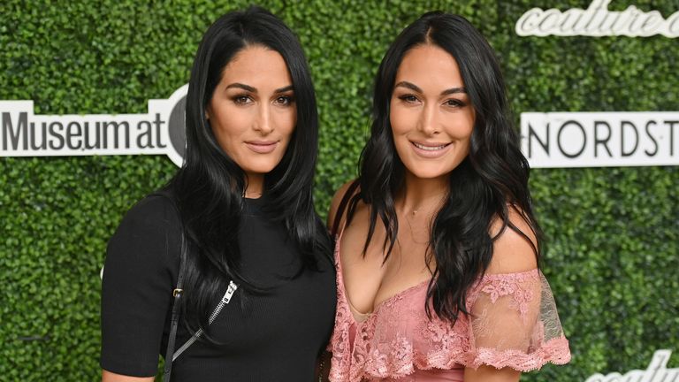 The Bella Twins are a WWE tag team and also twin sisters