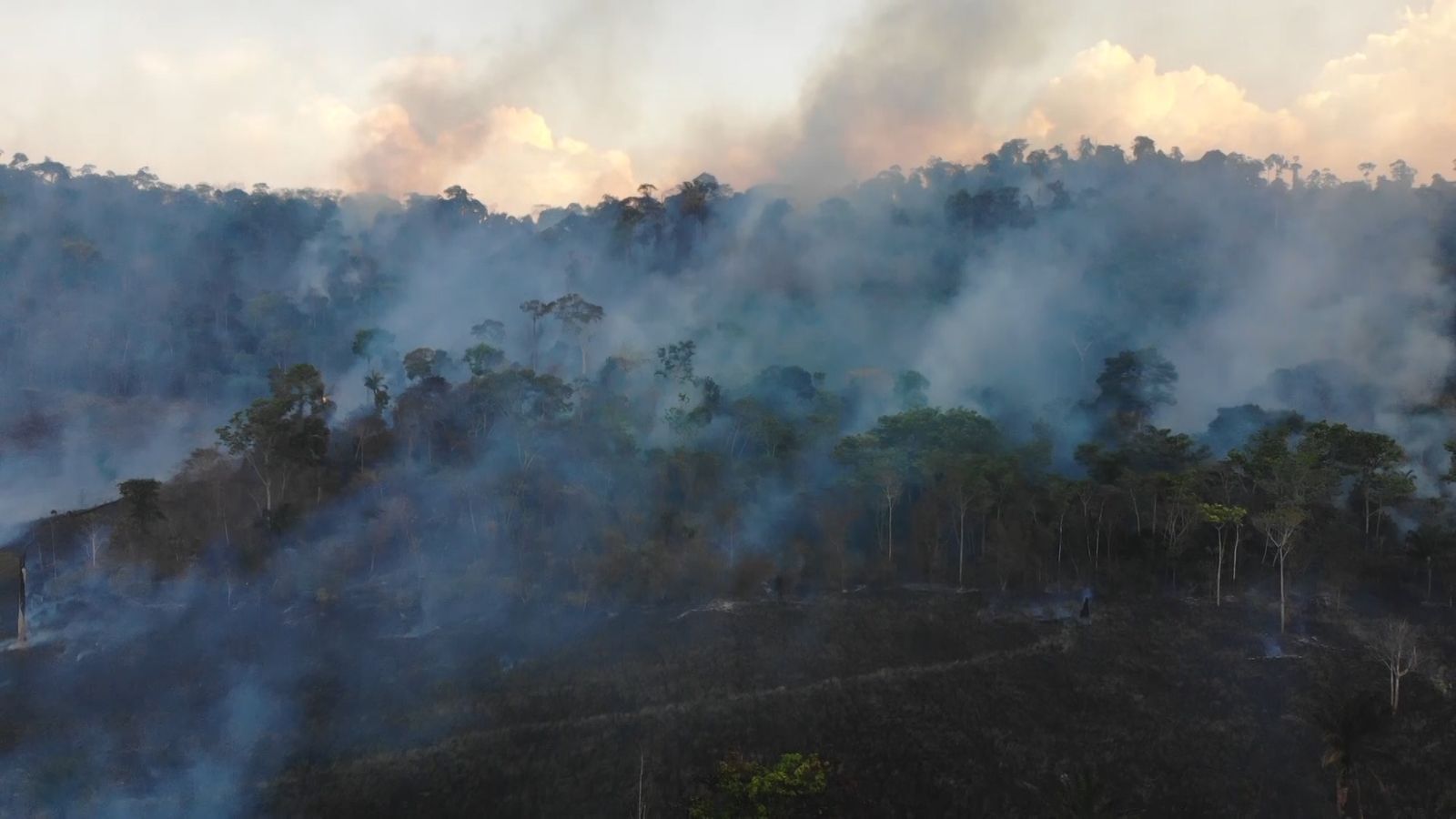 The Amazon Rainforest Is On Fire Again World News Sky News