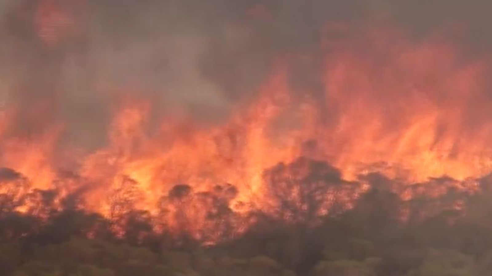 Wildfires tear through Argentina countryside World News Sky News