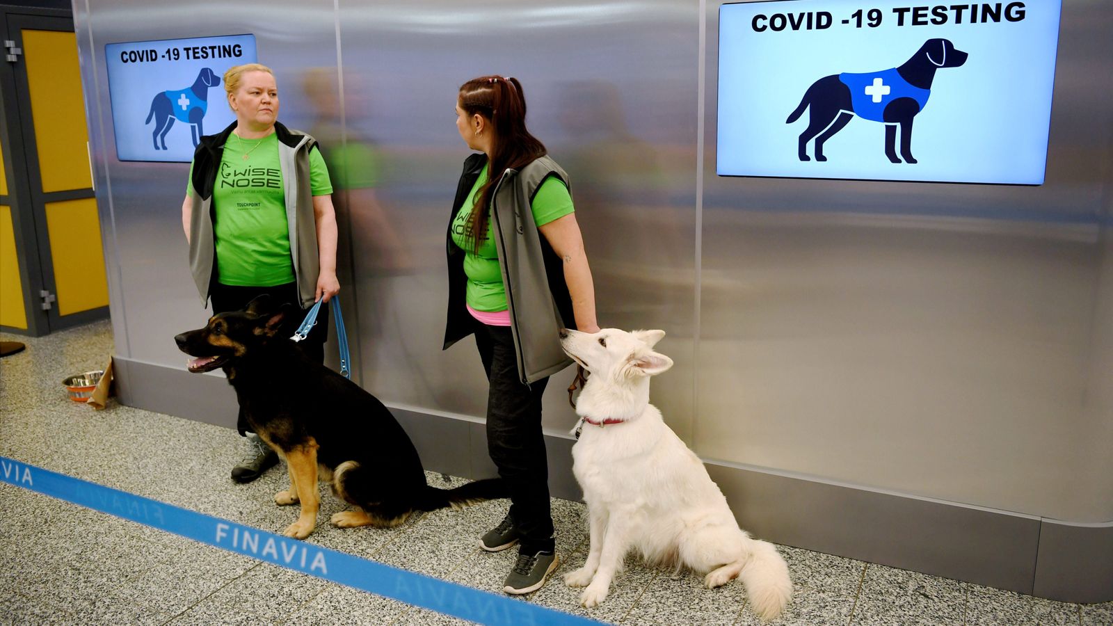 Coronavirus Dogs deployed at Helsinki Airport to sniff out virus