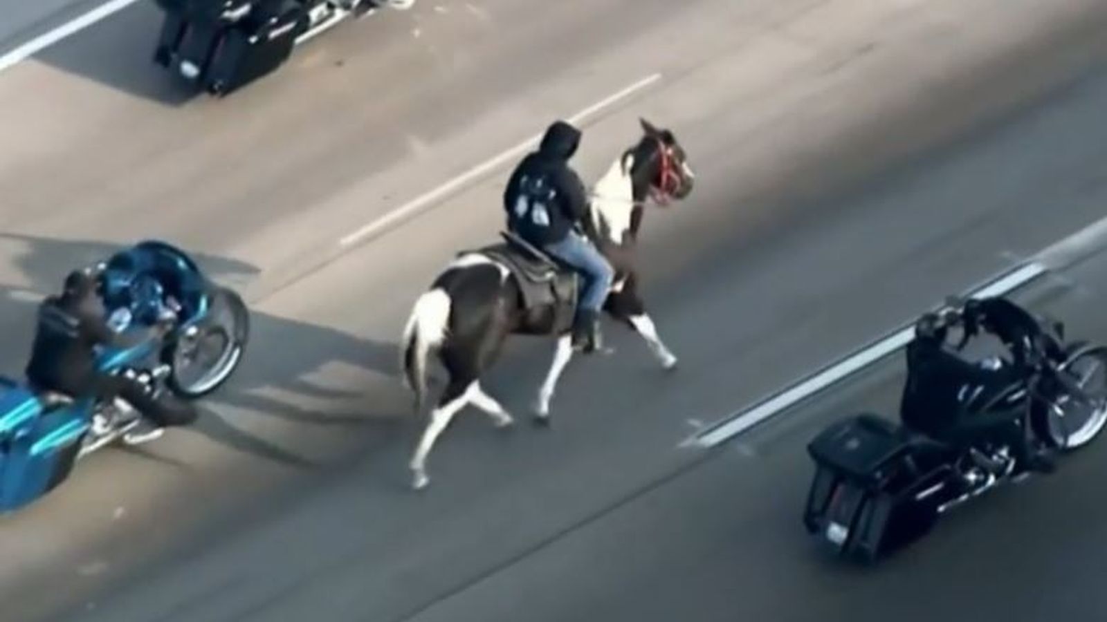 Illinois Man rides horse on Chicago highway US News Sky News