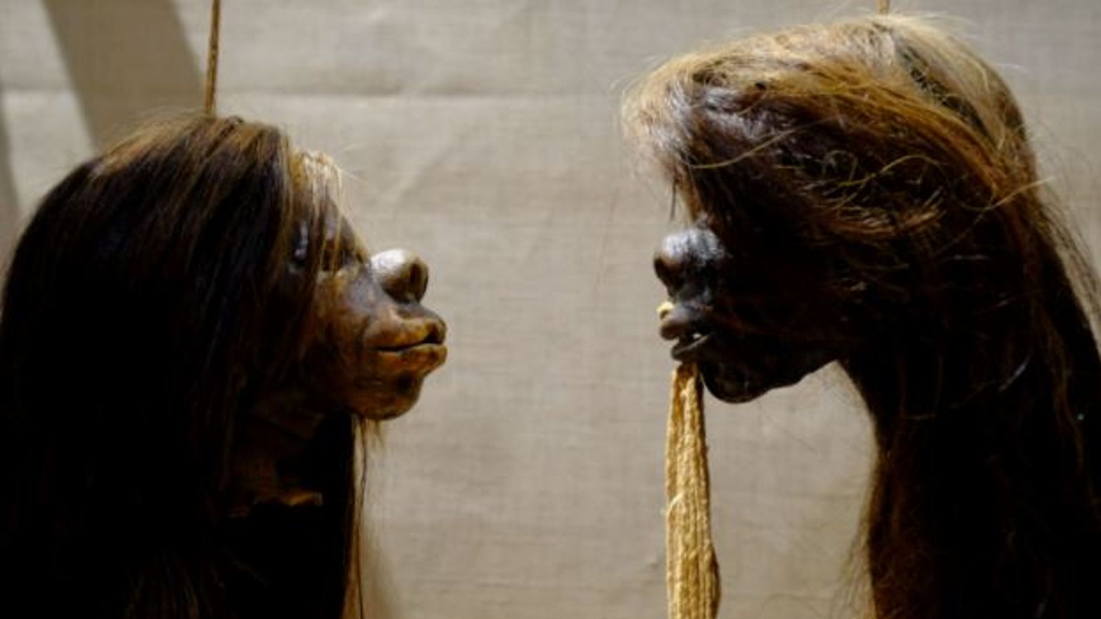 Shrunken Heads Removed From Display As Museum Seeks To Decolonise