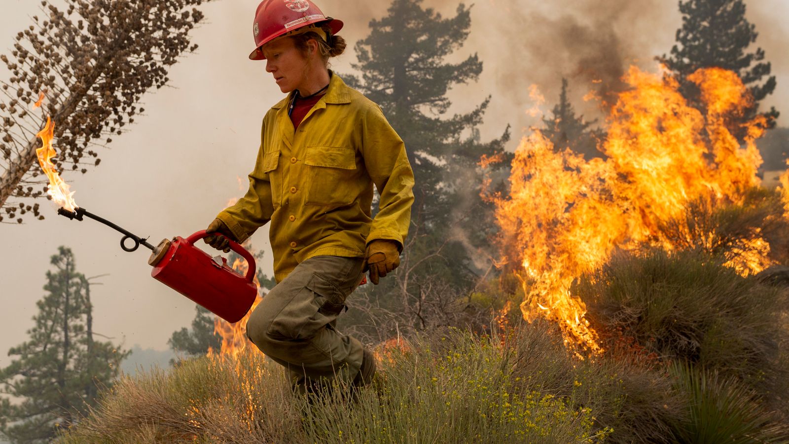 Us Wildfires Half A Million Flee Oregon As 10 Confirmed Dead In California Us News Sky News 6033