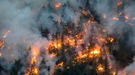 At least 31 people have died in wildfires raging across the West Coast