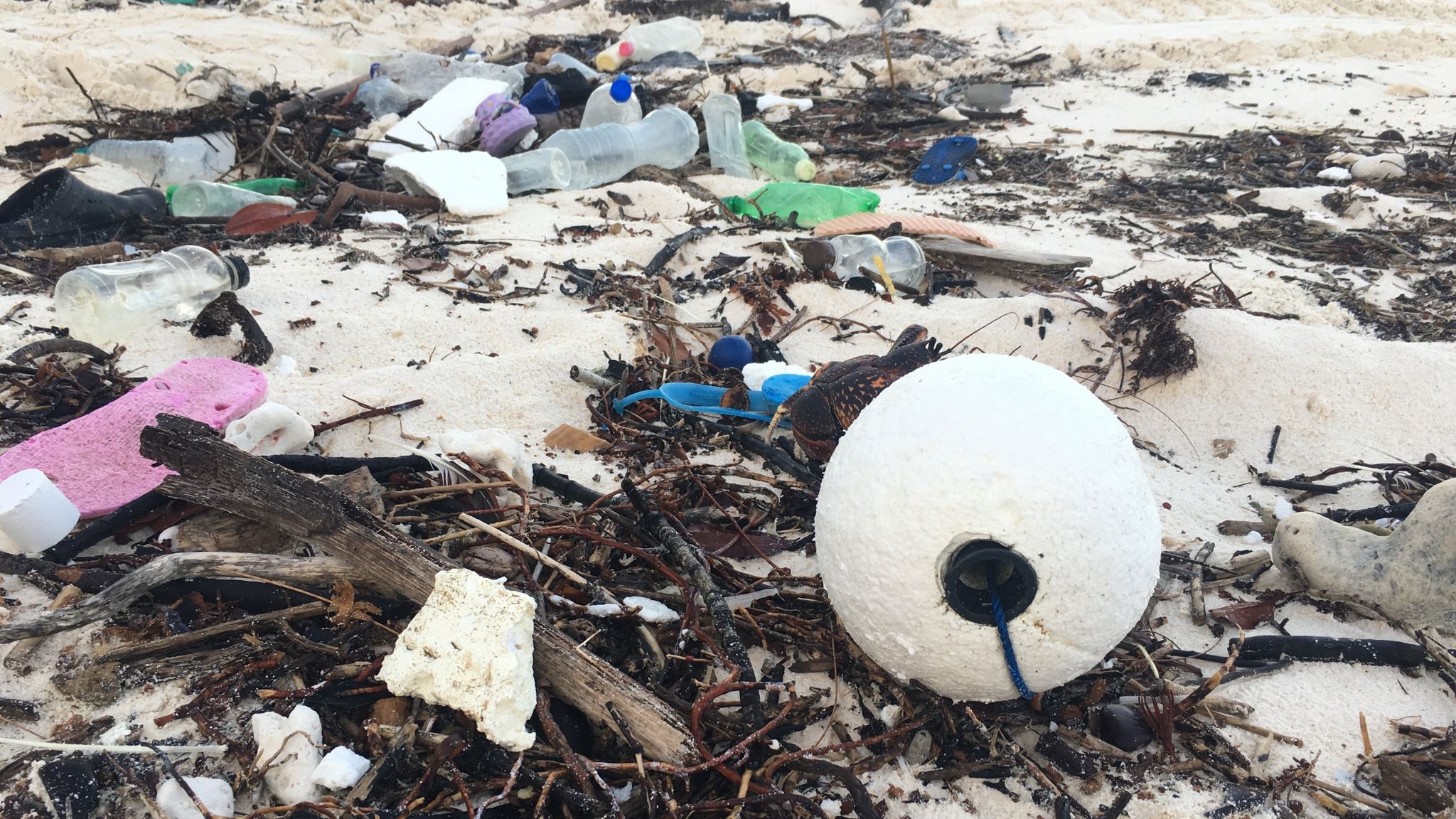 Plastic pollution Aldabra in Indian Ocean has most waste ever seen on