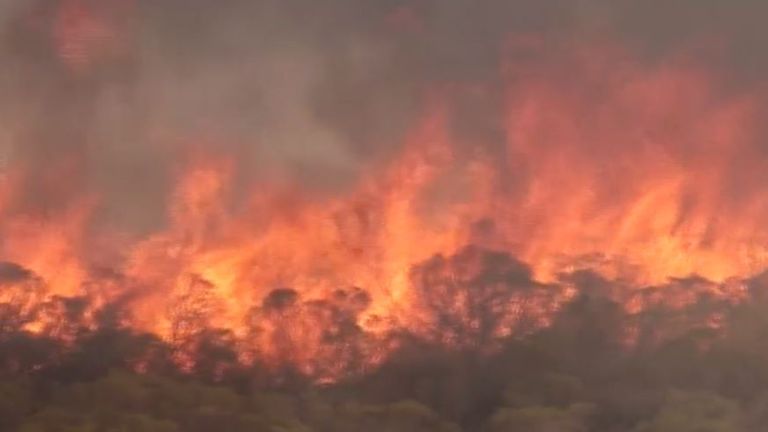 Wildfires rage in Argentina