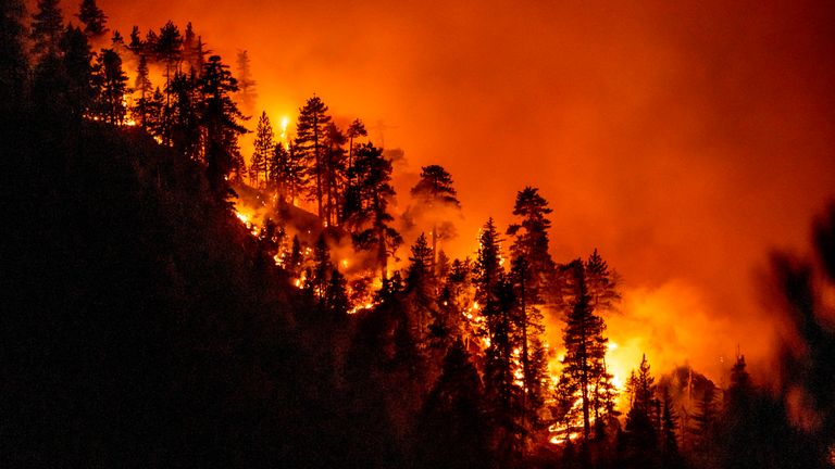 A total of 26 people have died in the fires