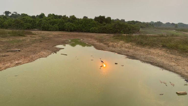 The Pantanal is the world&#39;s largest tropical wetland