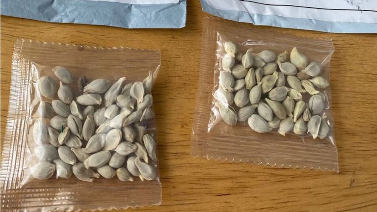 Amazon Bans Foreign Seed Sales In US After Thousands Receive Mysterious ...