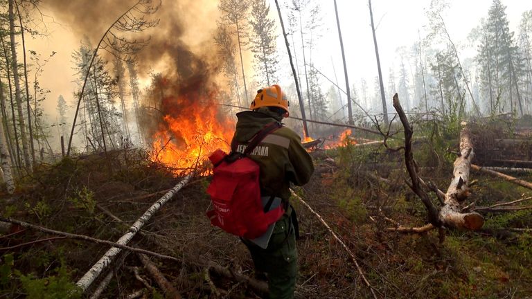 Forest fires in Siberia have contributed to the melting of ice in the Arctic 