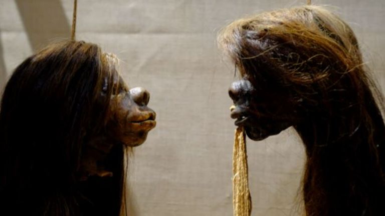 Tsantsa (shrunken heads) at Oxford University&#39;s Pitt Rivers Museum July 2020. Pic: Hugh Warwick.jpg