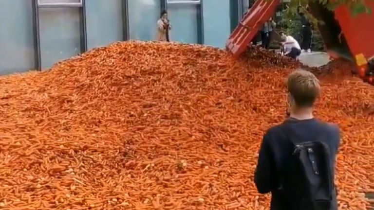 Handout photo courtesy of Matt Colquhoun 29 tonnes of carrots being dumped outside Goldsmiths College - part of the University of London - for an art installation.
