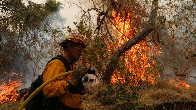 A firefighter works to extinguish the Bobcat Fire near Arcadia, California