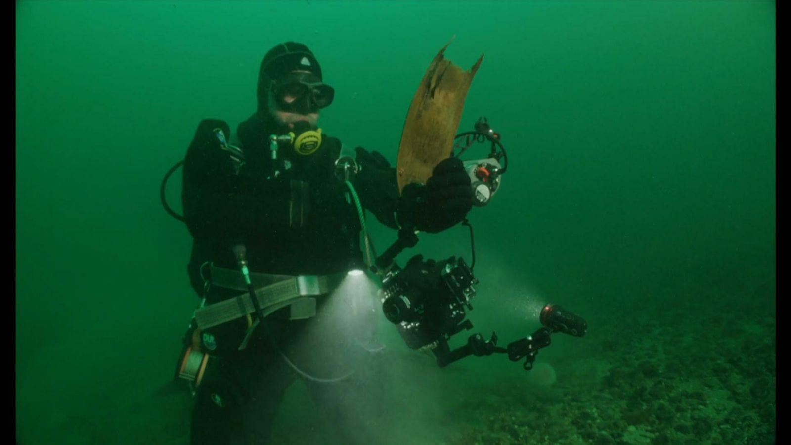 Ultra-rare flapper skate site discovered off Scottish coast | UK News ...