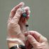Measles now an 'imminent' threat in every region of the world