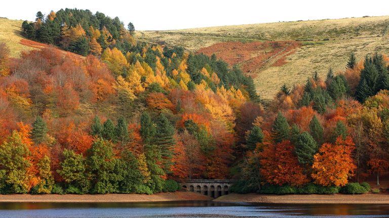 Trees on Derwent Reservoir in the Peak District hold on to their Autumn colours as weather experts predict a cold spell of weather across the UK in the coming weeks.