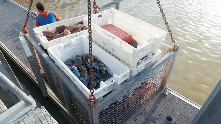 Boulogne is France&#39;s busiest fishing port 