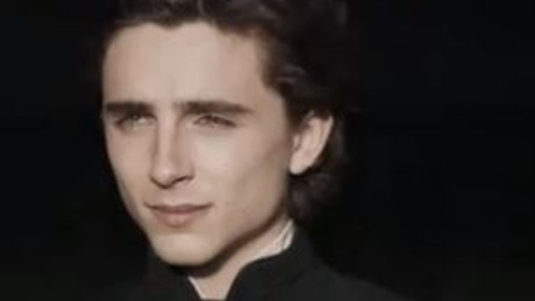 Timothee Chalamet the stars in Dune