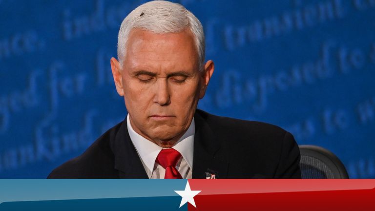 Vice President Mike Pence with a fly that had settled on his head - one of the highlights of his debate with Kamala Harris