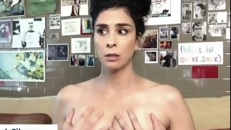 Sarah Silverman participates in a video explaining the concept of a &#39;naked ballot&#39;.