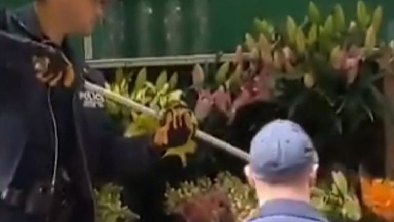 Authorities catch a skunk among flowers for sale in Manhattan